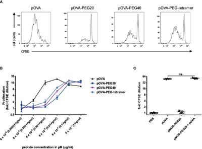 Tolerogenic Immunomodulation by PEGylated Antigenic Peptides